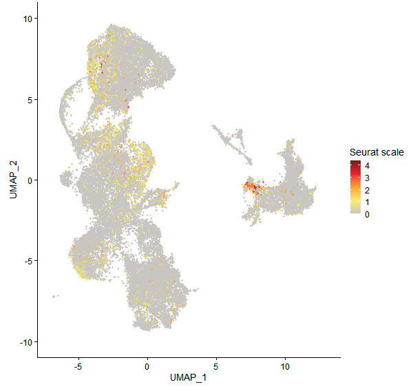 Feature plot of Mp3g21740 on UMAP