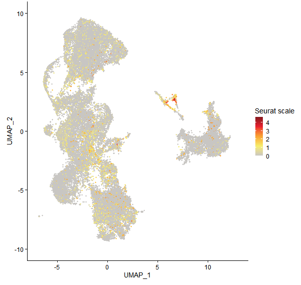Feature plot of Mp3g22530 on UMAP