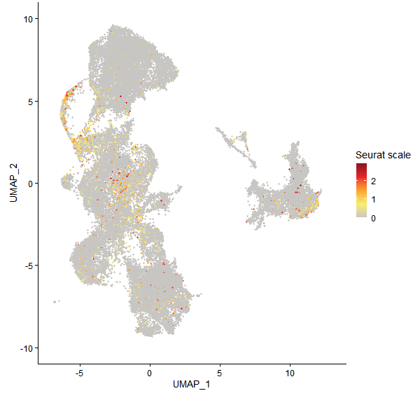 Feature plot of Mp3g23380 on UMAP