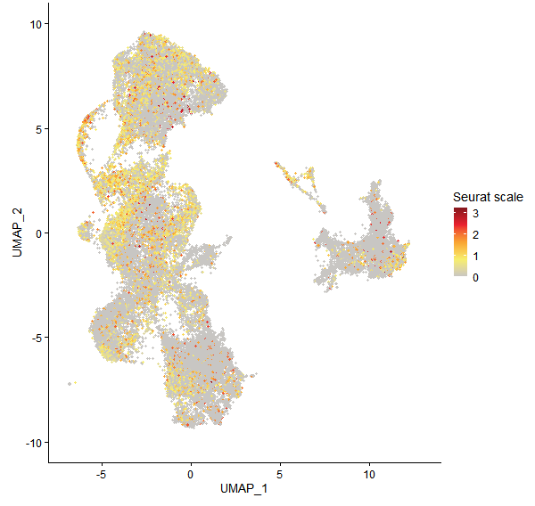 Feature plot of Mp3g25260 on UMAP