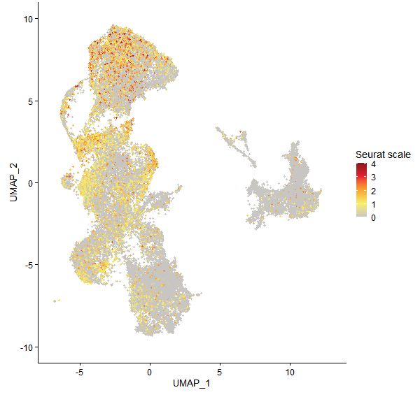 Feature plot of Mp4g01320 on UMAP