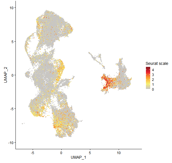 Feature plot of Mp4g01780 on UMAP