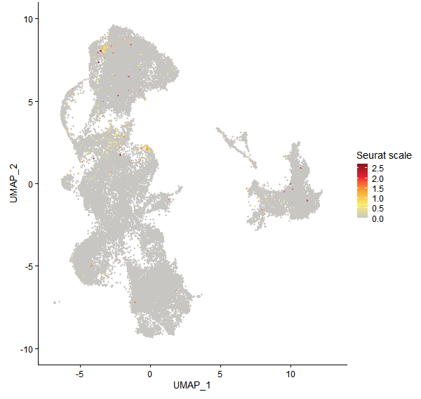 Feature plot of Mp4g03510 on UMAP