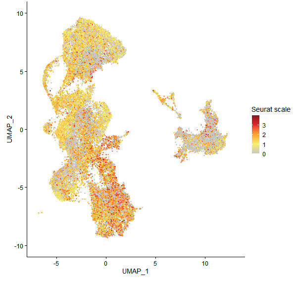 Feature plot of Mp4g05860 on UMAP