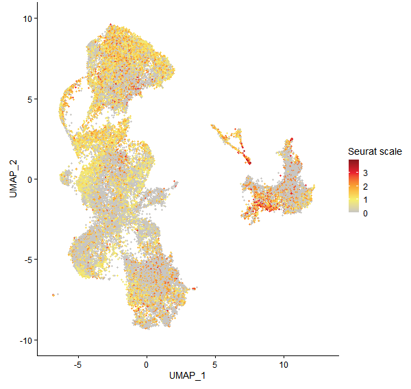 Feature plot of Mp4g06150 on UMAP