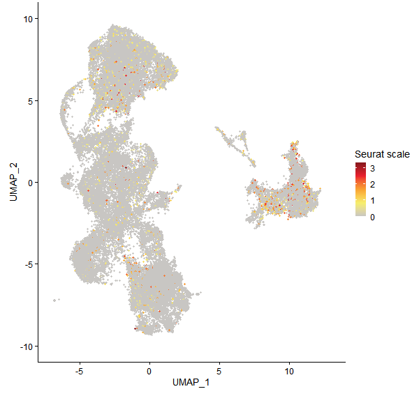 Feature plot of Mp4g08500 on UMAP
