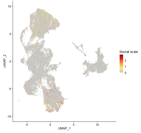 Feature plot of Mp4g08580 on UMAP