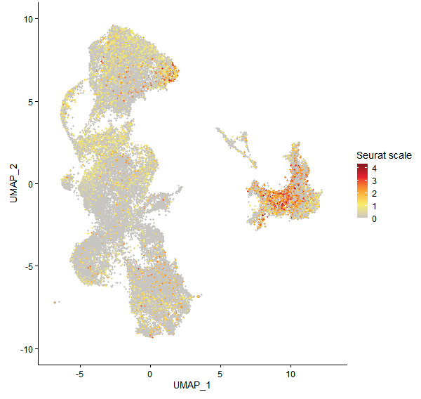 Feature plot of Mp4g08800 on UMAP