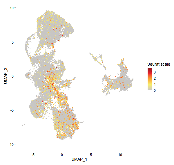 Feature plot of Mp4g09090 on UMAP