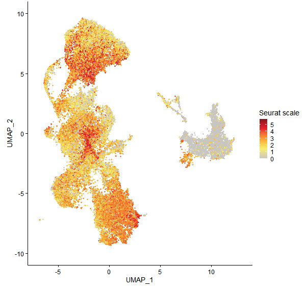 Feature plot of Mp4g10350 on UMAP