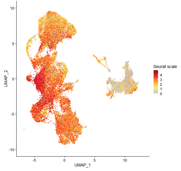 Feature plot of Mp4g10900 on UMAP
