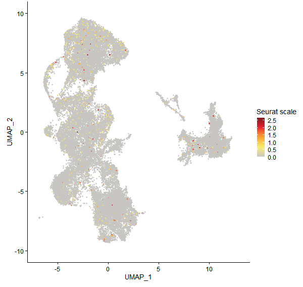 Feature plot of Mp4g13200 on UMAP