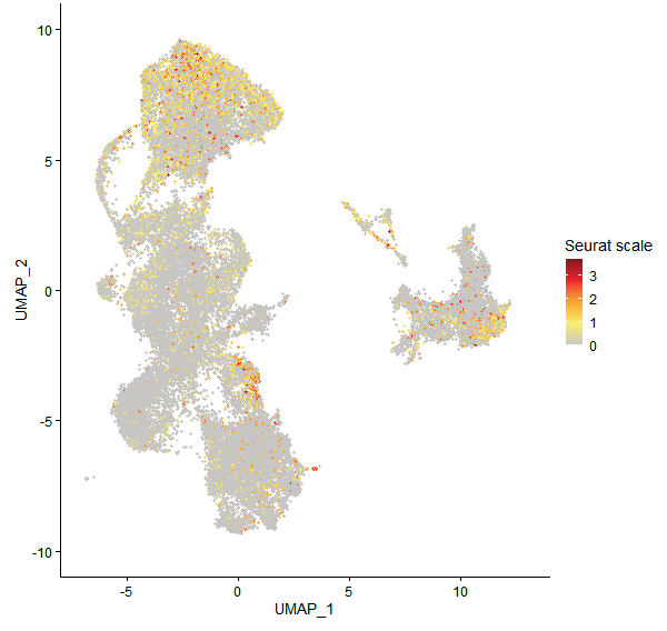Feature plot of Mp4g13430 on UMAP