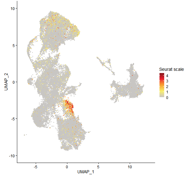 Feature plot of Mp4g13440 on UMAP