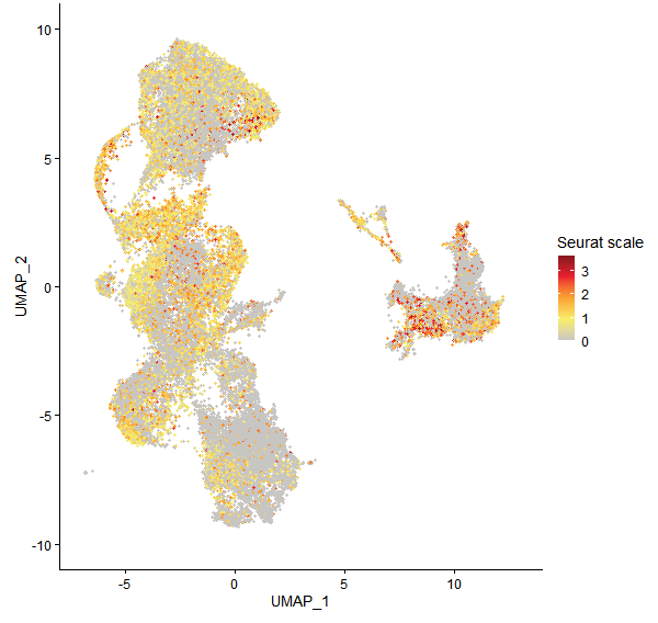Feature plot of Mp4g13950 on UMAP