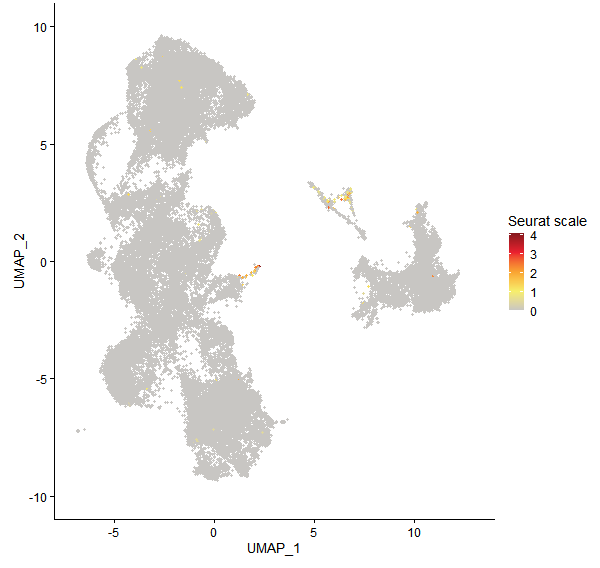 Feature plot of Mp4g14580 on UMAP