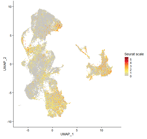 Feature plot of Mp4g14830 on UMAP
