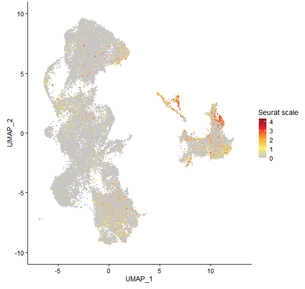 Feature plot of Mp4g14860 on UMAP