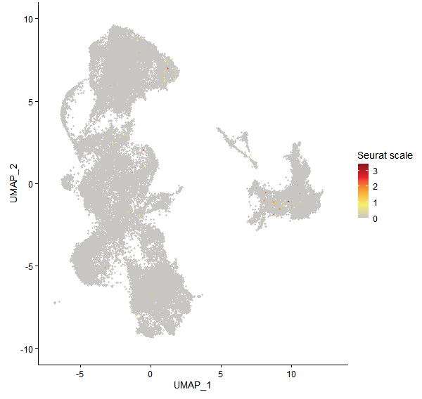 Feature plot of Mp4g17430 on UMAP