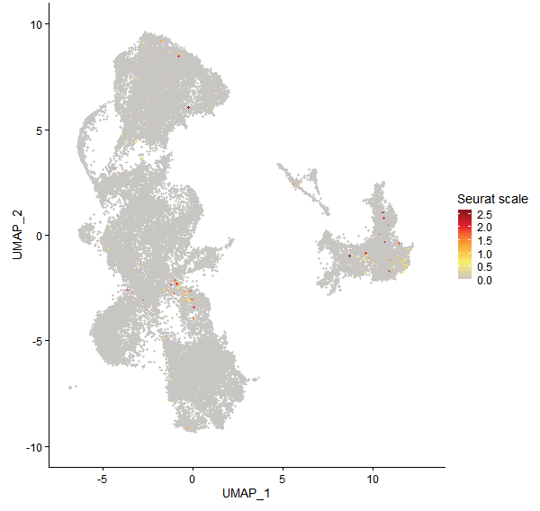 Feature plot of Mp4g19650 on UMAP