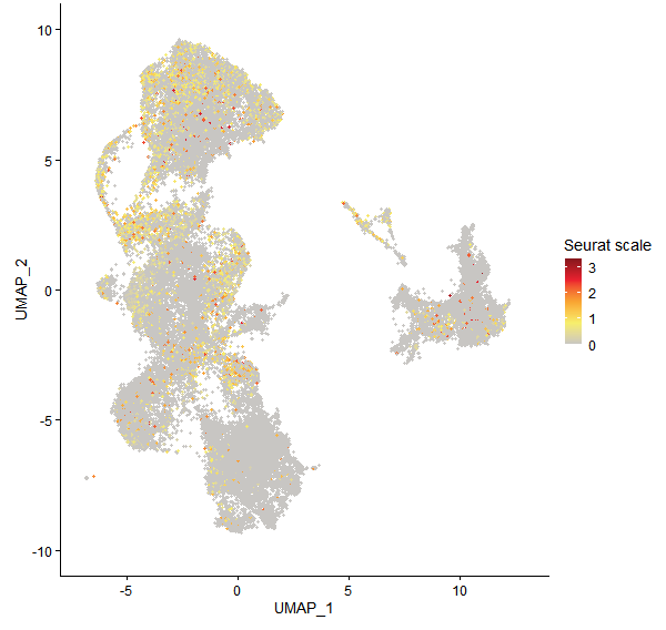 Feature plot of Mp4g20150 on UMAP