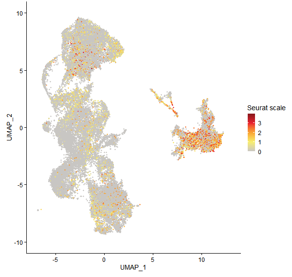 Feature plot of Mp4g20740 on UMAP