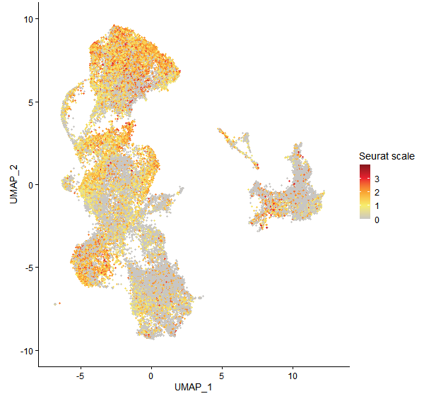 Feature plot of Mp4g23140 on UMAP