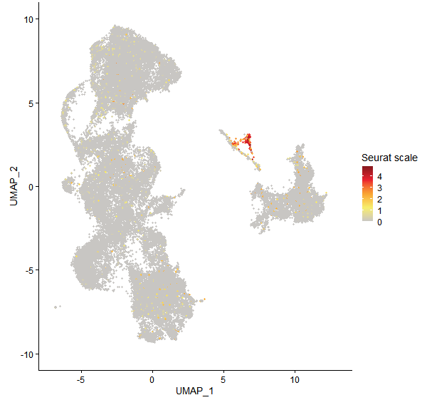 Feature plot of Mp4g23320 on UMAP