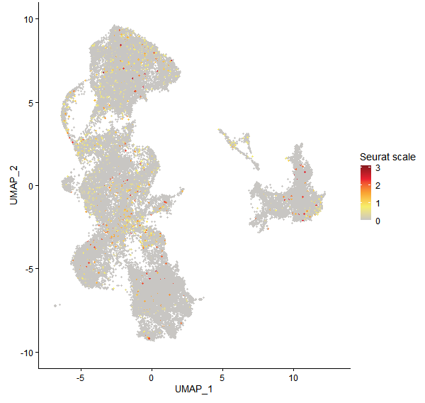 Feature plot of Mp5g01830 on UMAP
