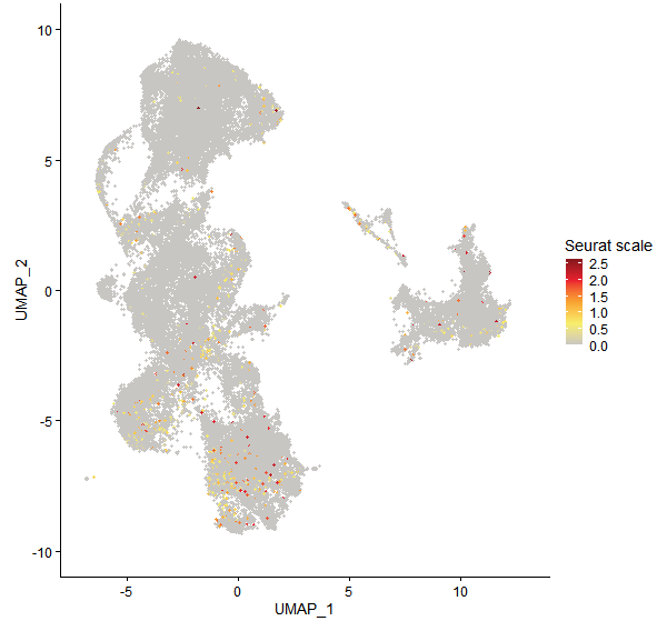 Feature plot of Mp5g02330 on UMAP