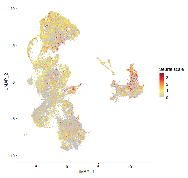 Feature plot of Mp5g03960 on UMAP