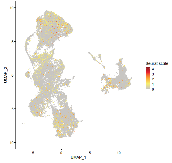 Feature plot of Mp5g04140 on UMAP
