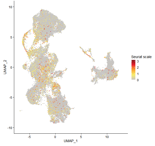 Feature plot of Mp5g04500 on UMAP