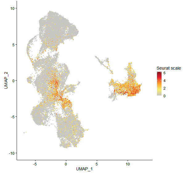 Feature plot of Mp5g05720 on UMAP