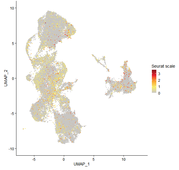 Feature plot of Mp5g06600 on UMAP