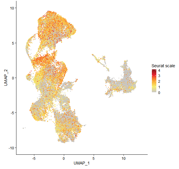 Feature plot of Mp5g06690 on UMAP