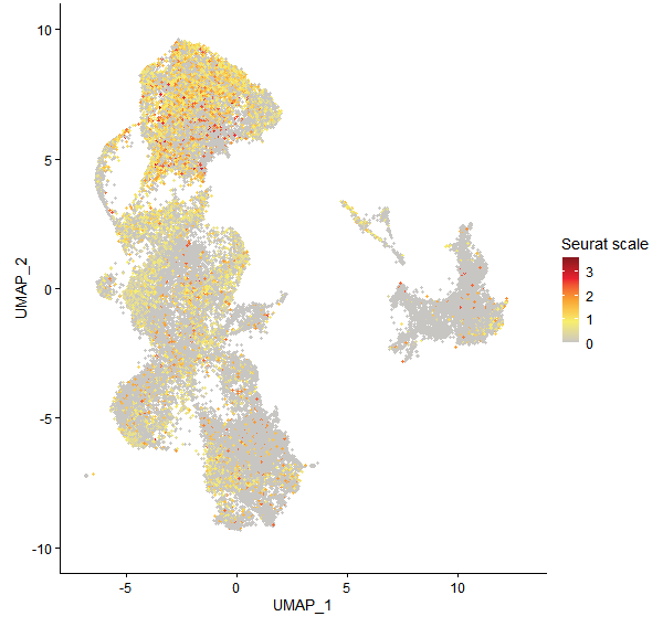 Feature plot of Mp5g07060 on UMAP
