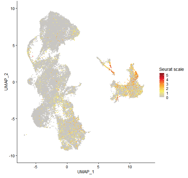 Feature plot of Mp5g09040 on UMAP
