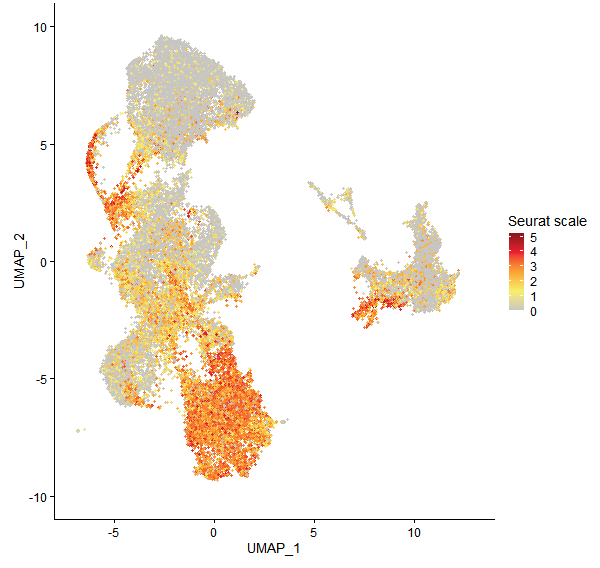 Feature plot of Mp5g09600 on UMAP