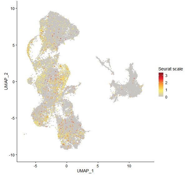Feature plot of Mp5g10490 on UMAP