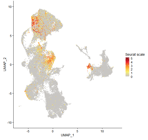 Feature plot of Mp5g10700 on UMAP