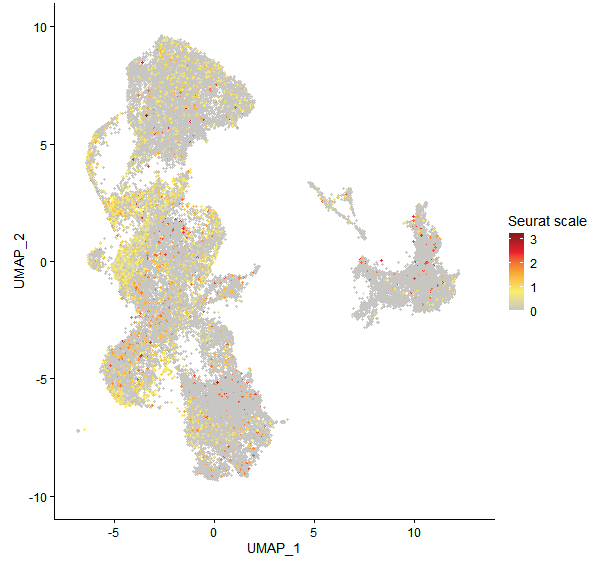 Feature plot of Mp5g11200 on UMAP