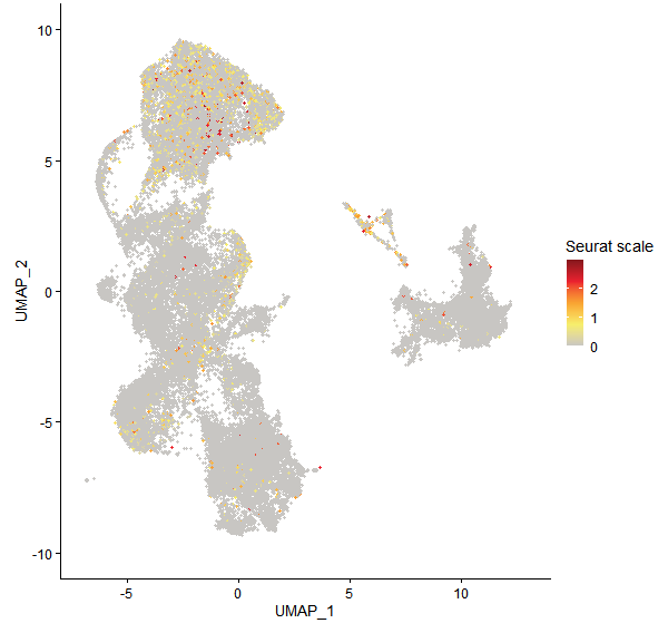 Feature plot of Mp5g12480 on UMAP