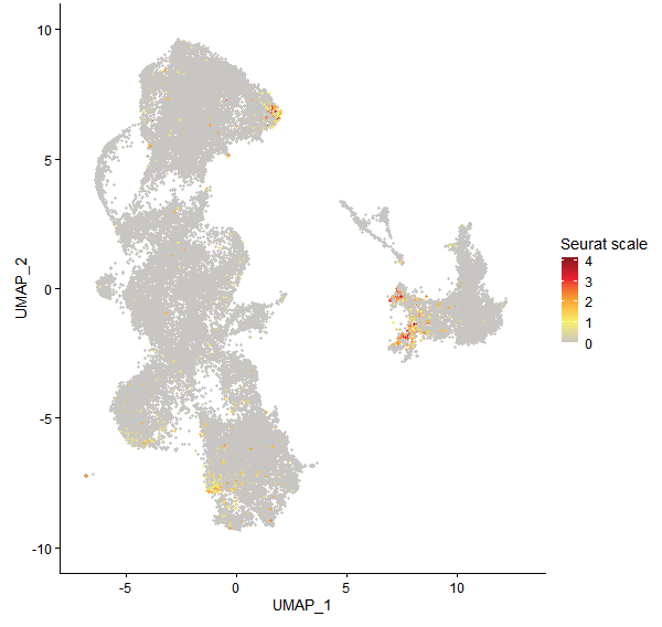 Feature plot of Mp5g12520 on UMAP