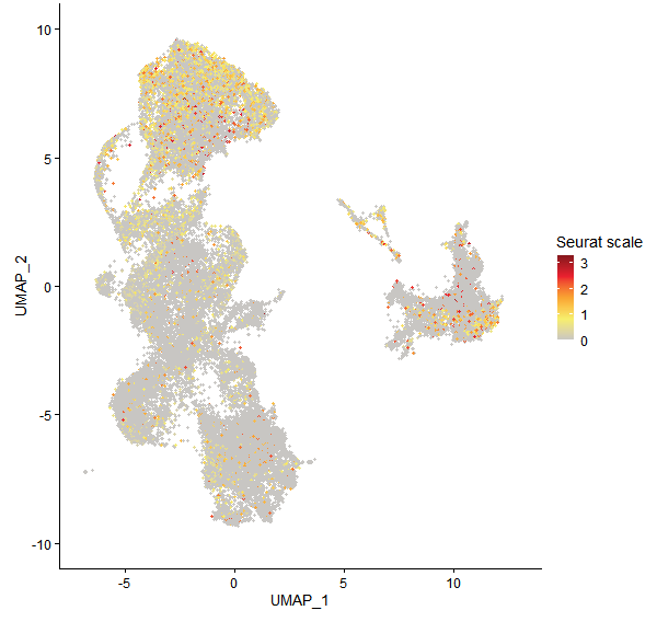 Feature plot of Mp5g12930 on UMAP