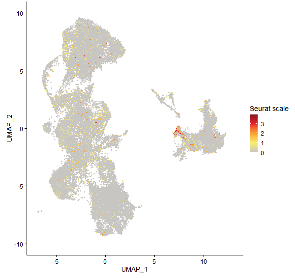 Feature plot of Mp5g13190 on UMAP