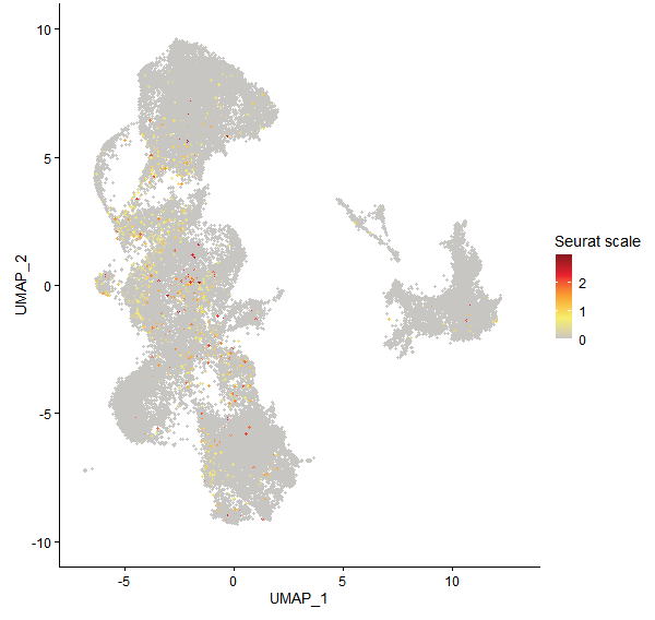 Feature plot of Mp5g13230 on UMAP