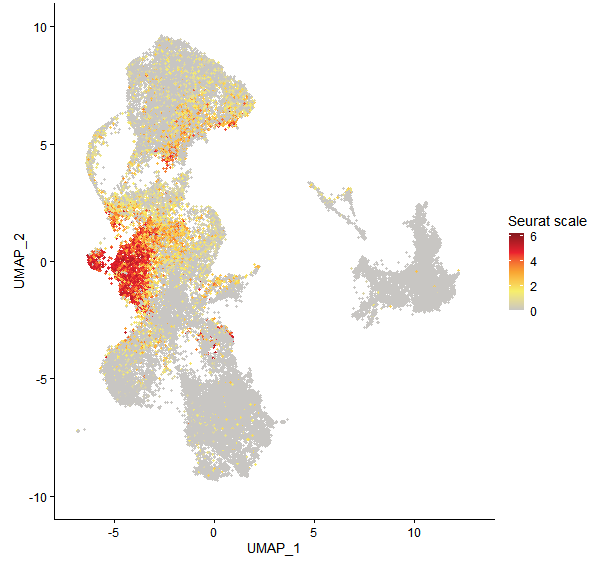 Feature plot of Mp5g13860 on UMAP