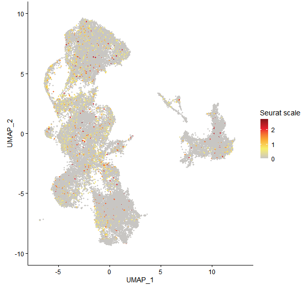 Feature plot of Mp5g14770 on UMAP