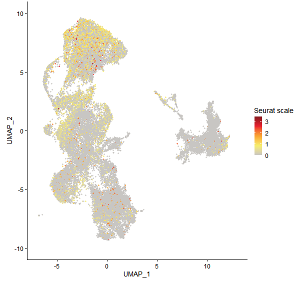 Feature plot of Mp5g15200 on UMAP